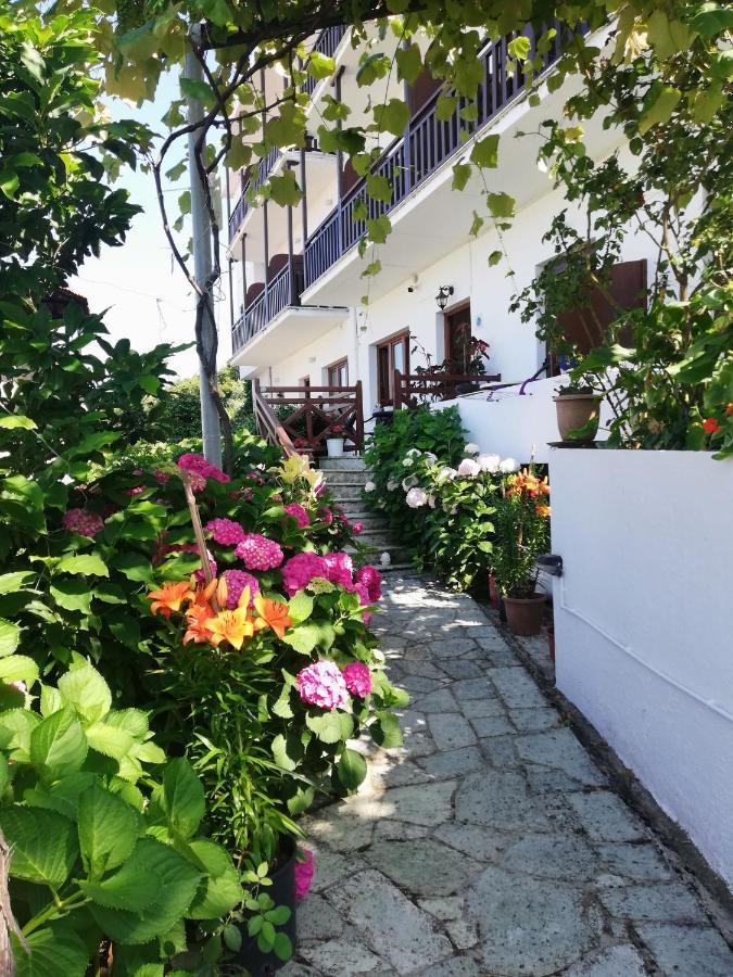 Hotel Erato Chorefton Exterior photo