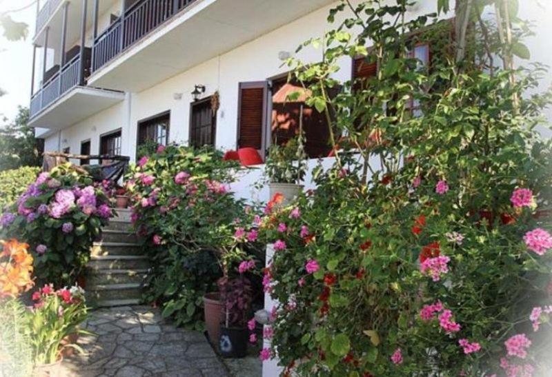 Hotel Erato Chorefton Exterior photo